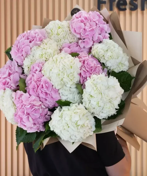 Bouquet of Pink & White Hydrangeas