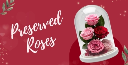 Preserved roses