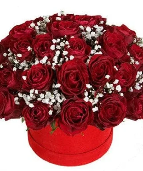 Red Roses and Gypsophila Box img