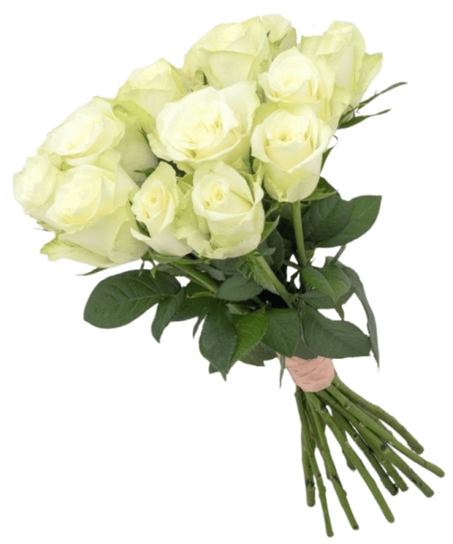 White Roses Bunch img
