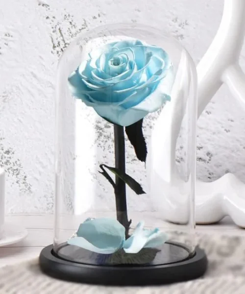 Aqua Blue Preserved Rose img